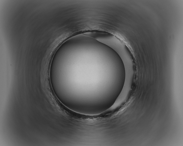 X0000088160481200705221604