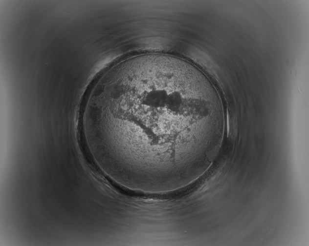X0000088160483200705221604