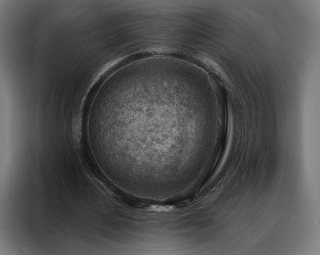 X0000088160484200705221604
