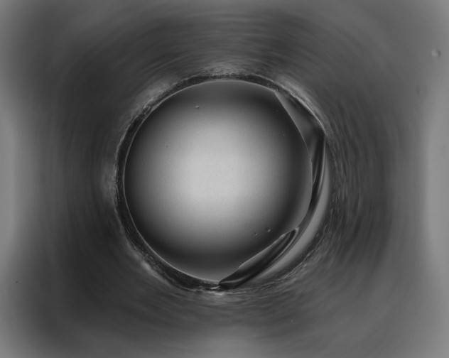 X0000088160485200705221604