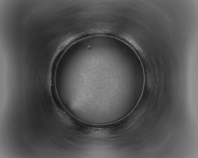 X0000088160486200705221604