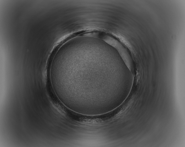 X0000088160488200705221604