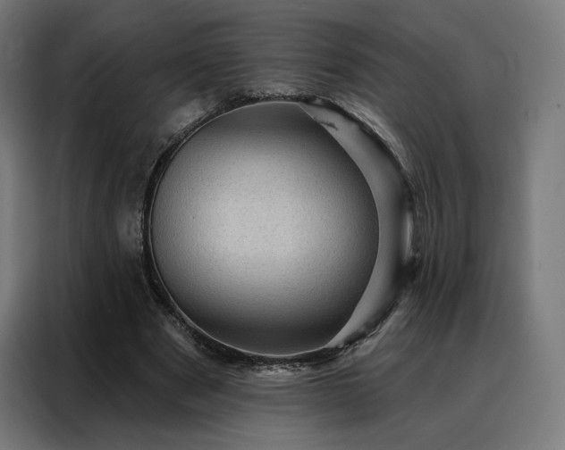 X0000088160489200705221604