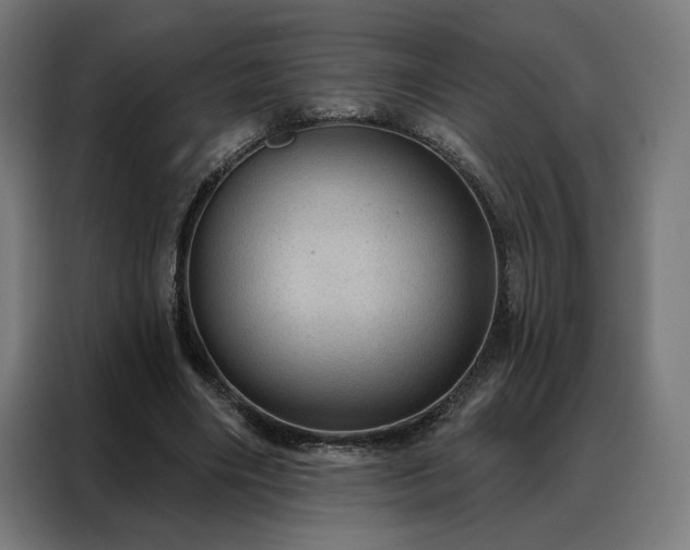 X0000088160490200705221604