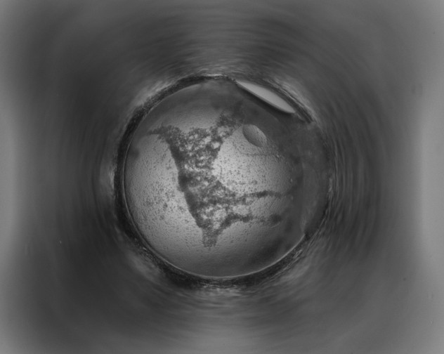 X0000088160491200705221604