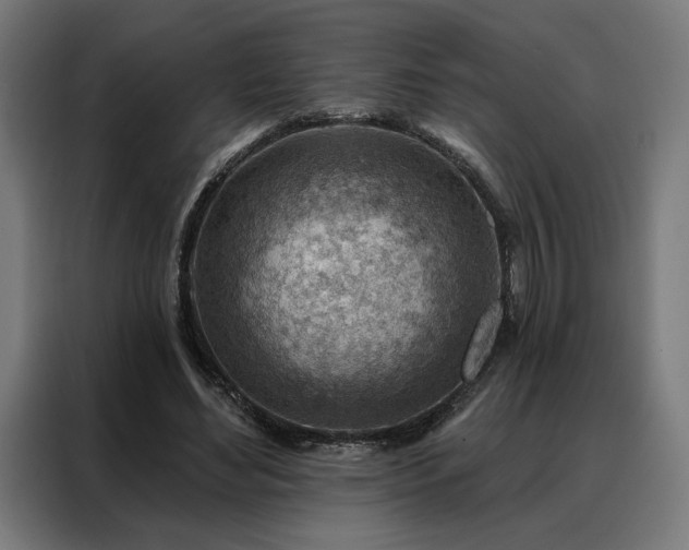 X0000088160492200705221604