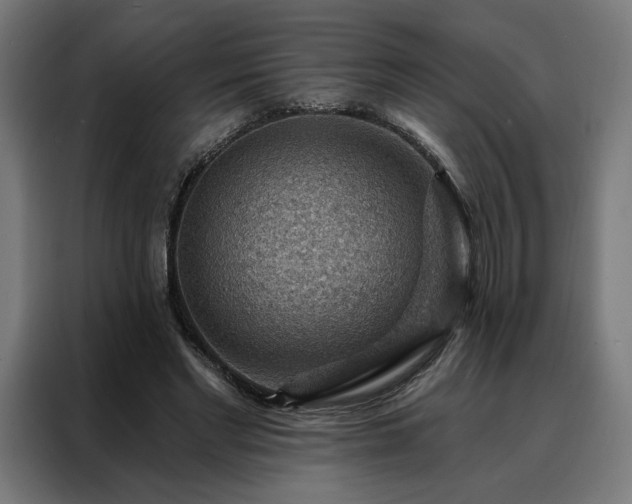 X0000088160493200705221604