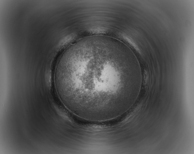 X0000088160494200705221604