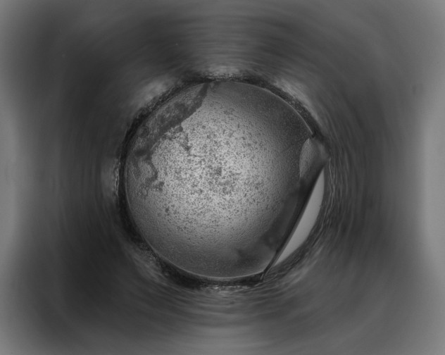 X0000088160495200705221604
