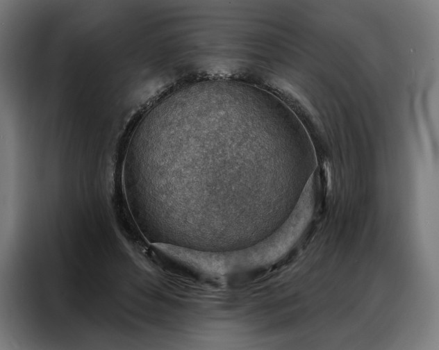 X0000088160496200705221604