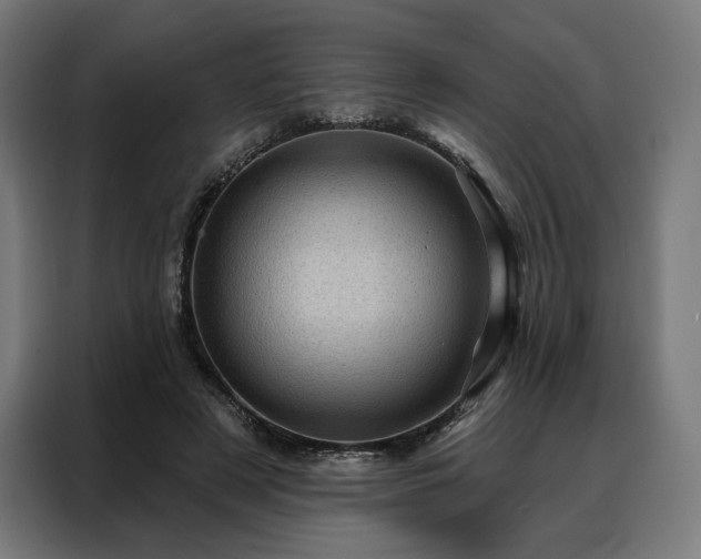 X0000088160497200705221604