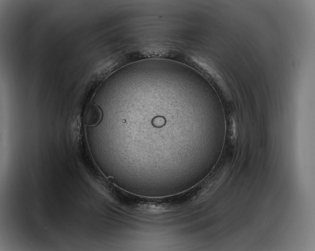 X0000088160498200705221604