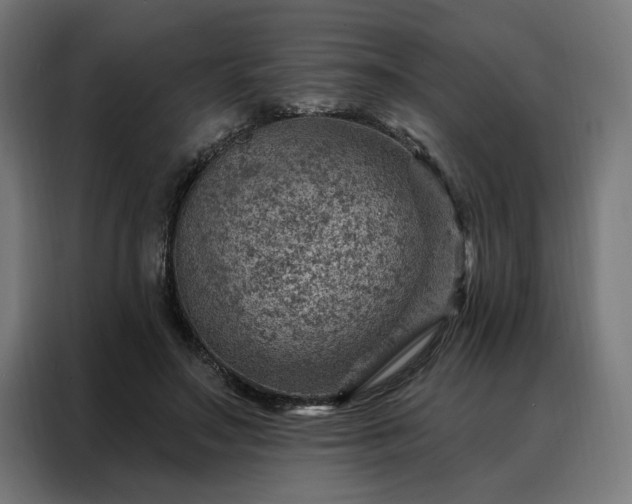 X0000088160499200705221604