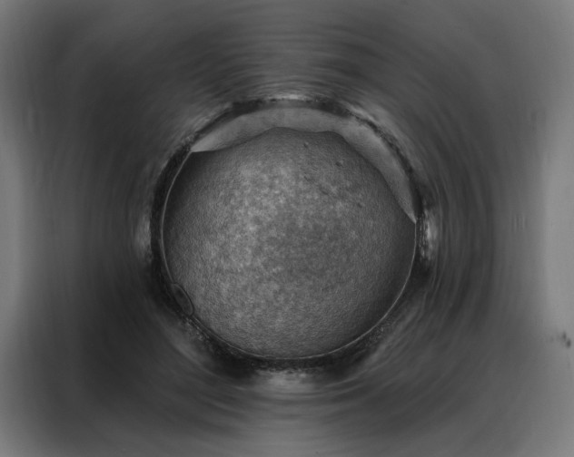 X0000088160500200705221604