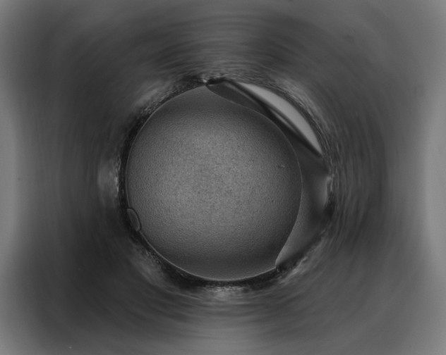 X0000088160501200705221604
