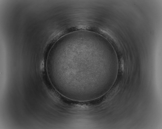 X0000088160502200705221604