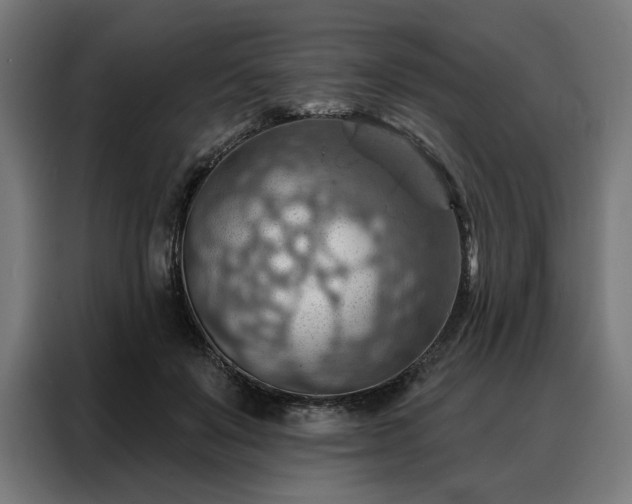 X0000088160503200705221604