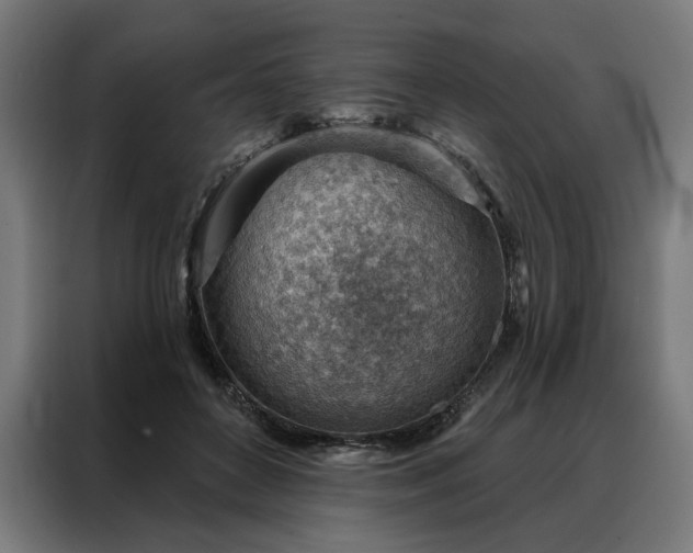 X0000088160504200705221604