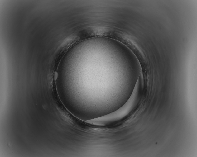X0000088160505200705221604