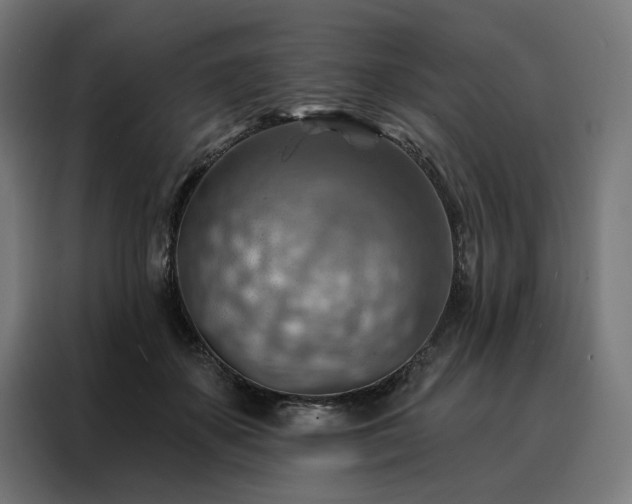 X0000088160507200705221603