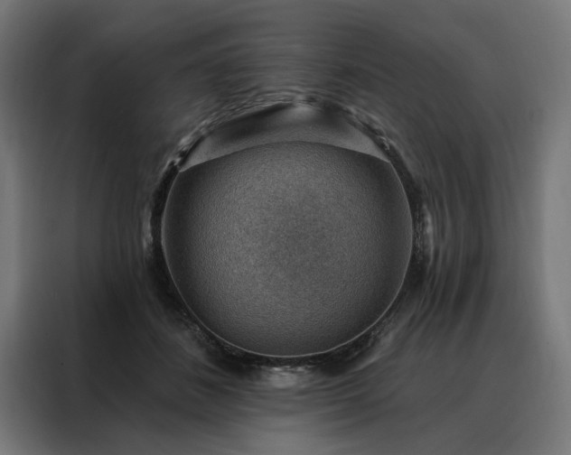 X0000088160508200705221603