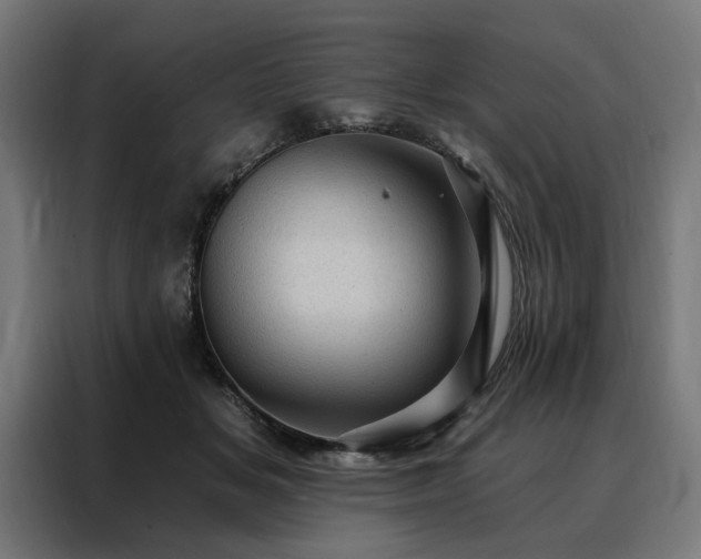 X0000088160509200705221603
