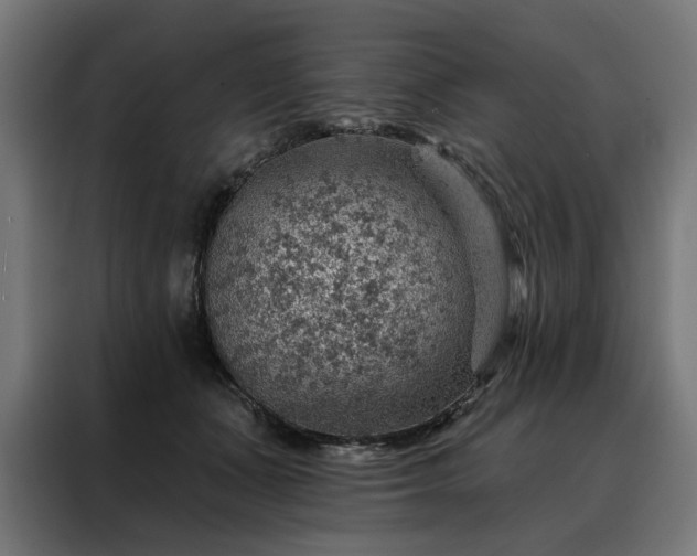 X0000088160511200705221603