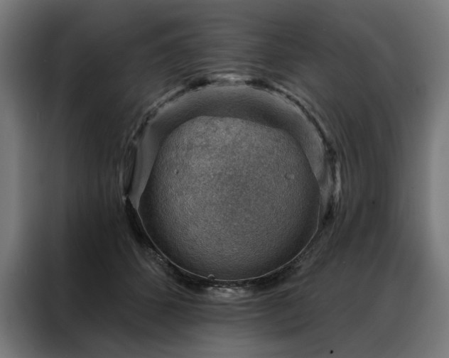 X0000088160512200705221603