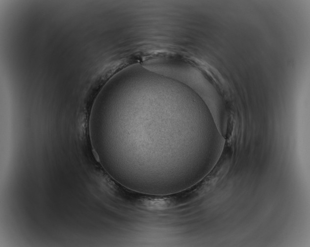 X0000088160513200705221603