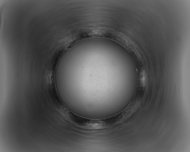 X0000088160514200705221603