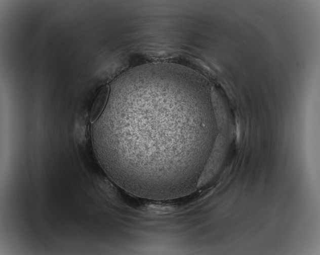 X0000088160515200705221603