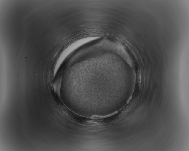 X0000088160516200705221603