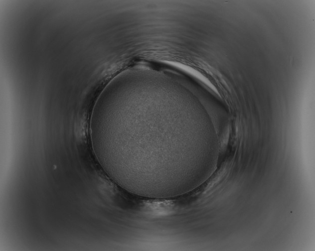 X0000088160517200705221603