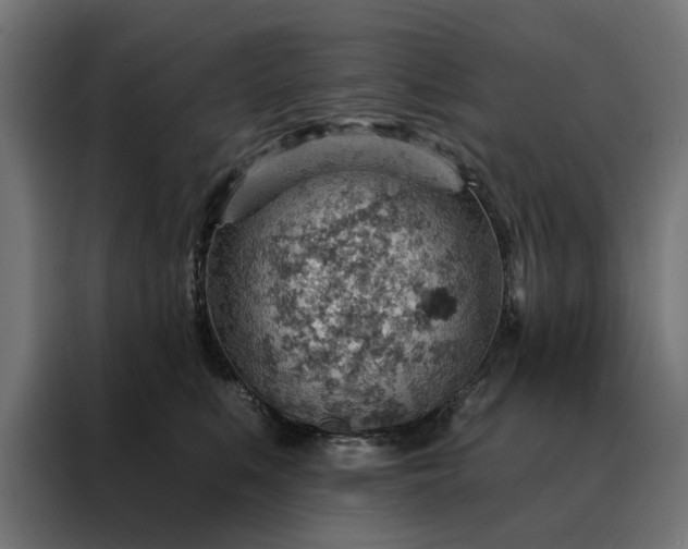 X0000088160519200705221603