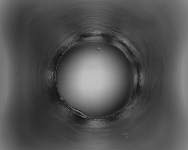 X0000088160521200705221603