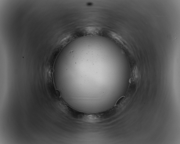 X0000088160522200705221603