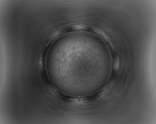 X0000088160524200705221603