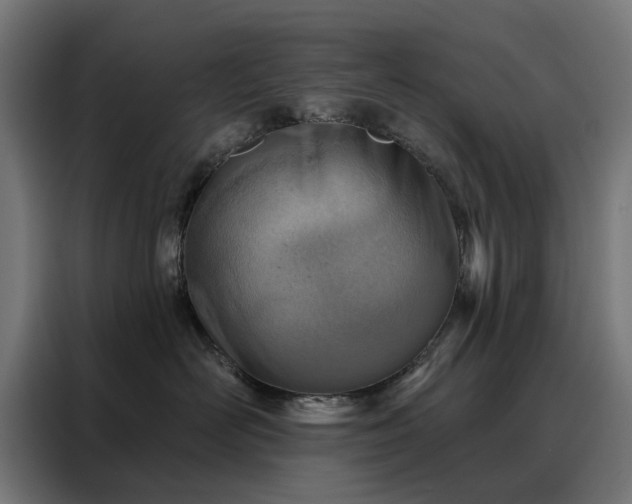 X0000088160526200705221603