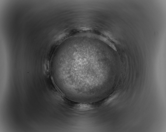 X0000088160528200705221603