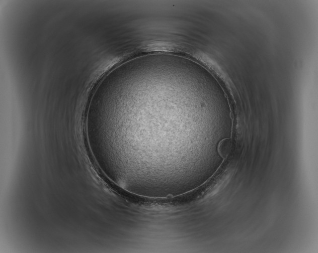 X0000088160529200705221603