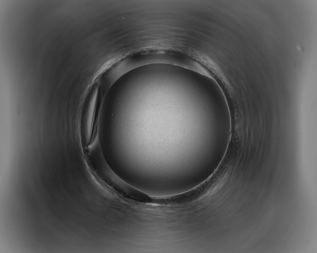 X0000088160530200705221603