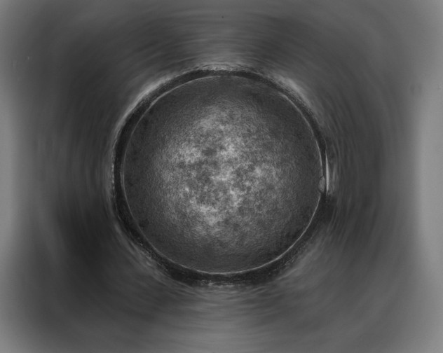 X0000088160531200705221603