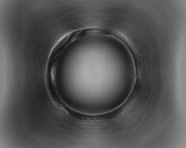 X0000088160532200705221603