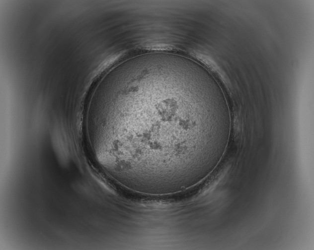 X0000088160533200705221603