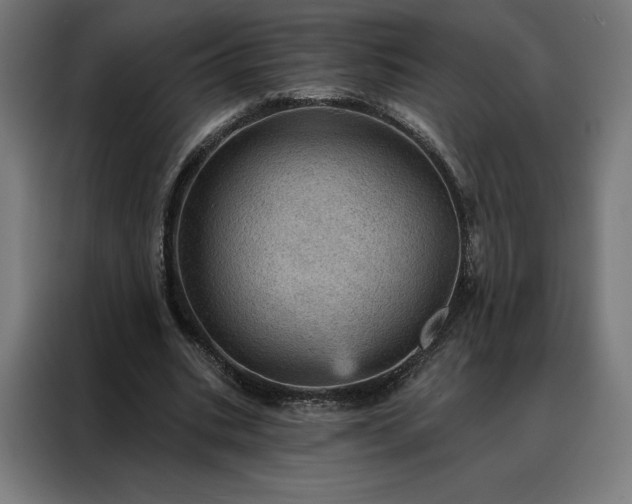 X0000088160535200705221603
