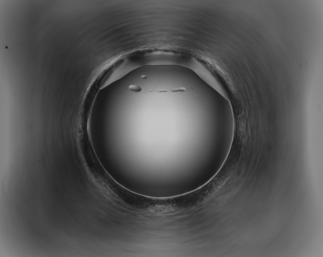 X0000088160536200705221603