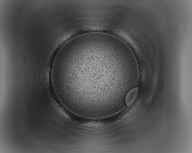 X0000088160537200705221603