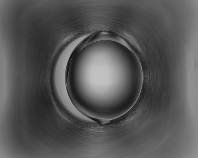 X0000088160538200705221603