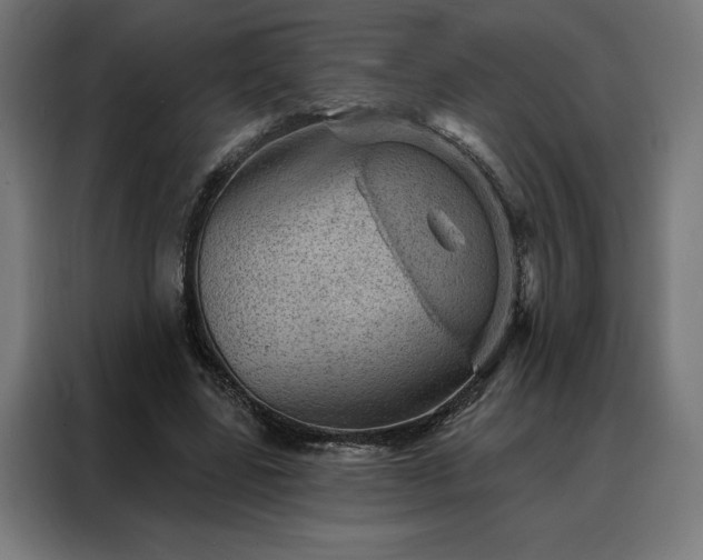 X0000088160539200705221603
