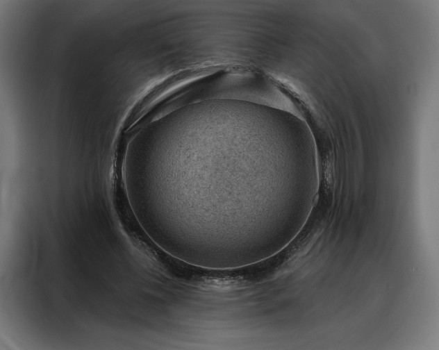 X0000088160540200705221603